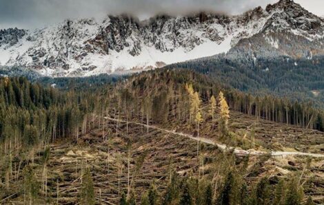 Gruppo Marazzato e Rete Clima