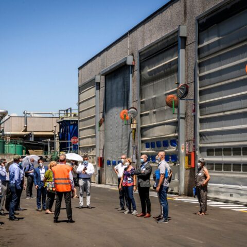 visita guidata villastellone 2